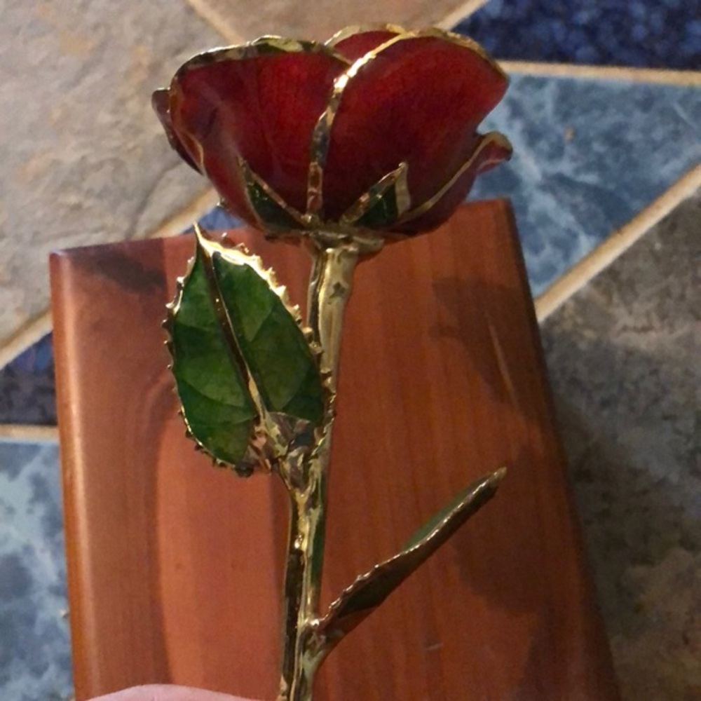 Forever Rose